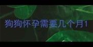 狗狗怀孕需要几个月