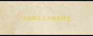 边牧鼻子上方脱皮掉皮
