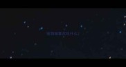 宠物貂喜欢吃什么