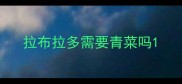 拉布拉多需要青菜吗