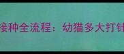 猫咪疫苗接种全流程幼猫多大打针最科学