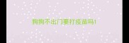 狗狗不出门要打疫苗吗