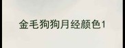 金毛狗狗月经颜色