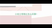 小哈士奇眼红怎么回事
