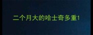 二个月大的哈士奇多重