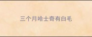 三个月哈士奇有白毛