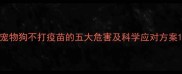 宠物狗不打疫苗的五大危害及科学应对方案