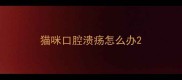 猫咪口腔溃疡怎么办