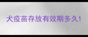 犬疫苗存放有效期多久