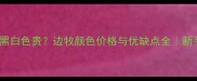 咖啡色边牧比黑白色贵边牧颜色价格与优缺点全新手必看避坑指南