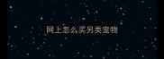 网上怎么买另类宠物