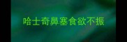 哈士奇鼻塞食欲不振
