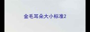 金毛耳朵大小标准