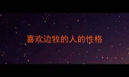 喜欢边牧的人的性格