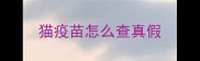 猫疫苗怎么查真假