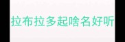 拉布拉多起啥名好听