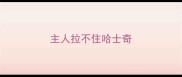 主人拉不住哈士奇