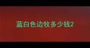 蓝白色边牧多少钱