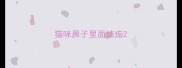 猫咪鼻子里面结痂