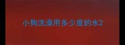 小狗洗澡用多少度的水