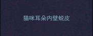 猫咪耳朵内壁蜕皮