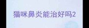 猫咪鼻炎能治好吗