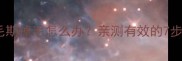 拉布拉多换毛期掉毛怎么办亲测有效的7步护理全攻略