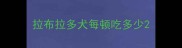 拉布拉多犬每顿吃多少