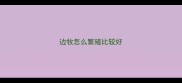 边牧怎么繁殖比较好