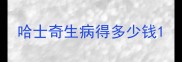 哈士奇生病得多少钱