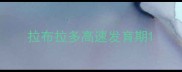 拉布拉多高速发育期