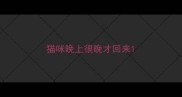 猫咪晚上很晚才回来