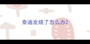 泰迪发烧了怎么办