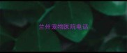兰州宠物医院电话