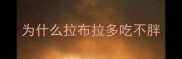 为什么拉布拉多吃不胖
