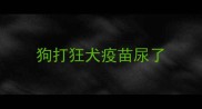 狗打狂犬疫苗尿了