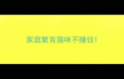 家庭繁育猫咪不赚钱