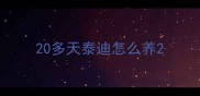 20多天泰迪怎么养