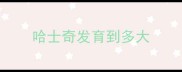 哈士奇发育到多大