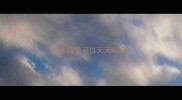 拉布拉多可以天天喂吗