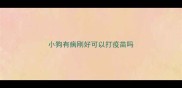 小狗有病刚好可以打疫苗吗