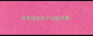 拉布拉多吃了垃圾中毒