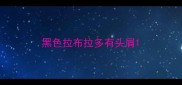 黑色拉布拉多有头屑