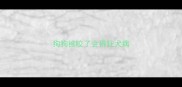 狗狗被咬了会得狂犬病