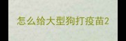 怎么给大型狗打疫苗