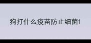 狗打什么疫苗防止细菌