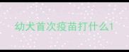 幼犬首次疫苗打什么
