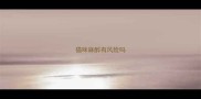 猫咪麻醉有风险吗