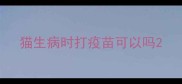 猫生病时打疫苗可以吗