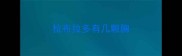 拉布拉多有几颗胸